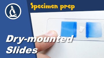 🔬 Making dry-mounted permanent microscopy slides