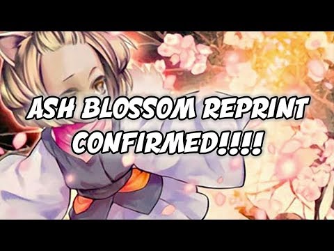 ASH BLOSSOM REPRINT CONFIRMED!!!