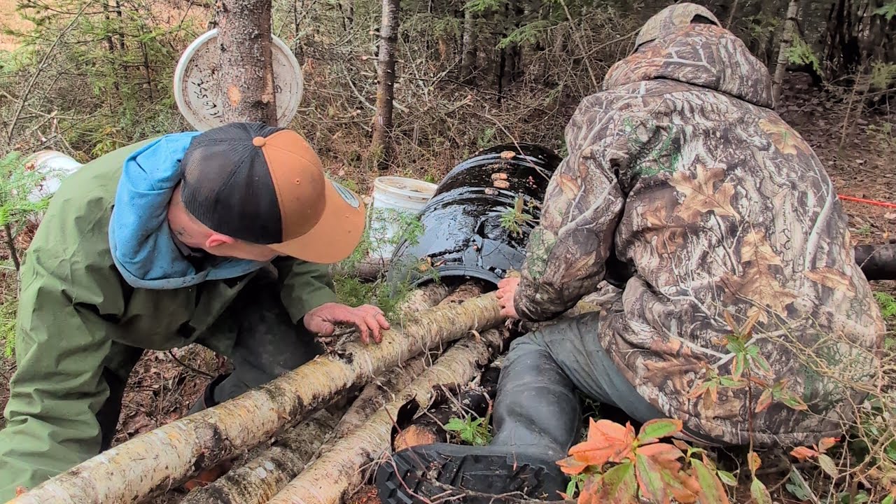 Come with us to set up our bait barrel for black bear hunting in Haute-mauricie 