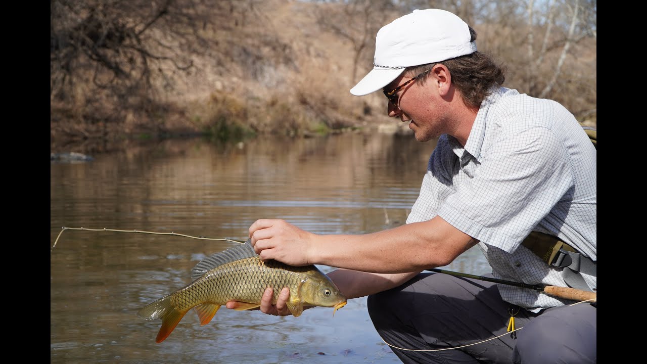 Texas Flyfishing for Carp with Gibson.