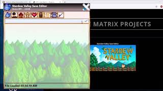 Copy of Stardew Valley Save Editor Tutorial screenshot 5