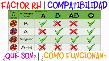 ¿Qué dice de ti el grupo sanguíneo A+?