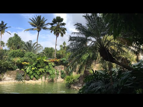 Le Nord Basse -Terre - Holidays  to ... Guadeloupe 4K - FRENCH CARIBBEAN HD