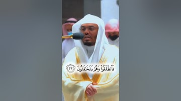 تلاوة خاشعة من سورة القلم | بصوت ياسر_الدوسري 🤍🖤