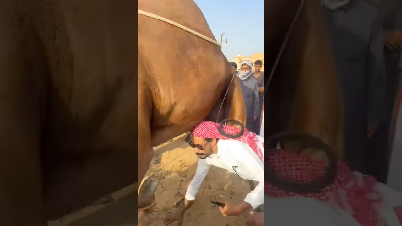 الشهرة صعبة