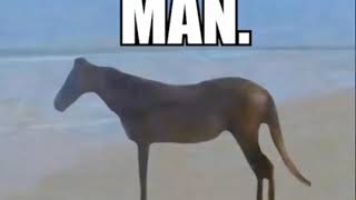 juan meets man, but man wins and he is a dog.