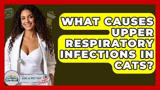 What Causes Upper Respiratory Infections In Cats? - Ask A Pet Vet