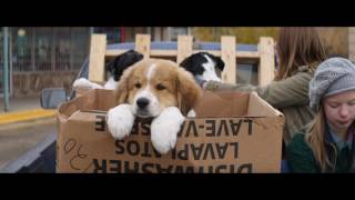 A Dog’s Purpose | Trailer | Own it now on Blu-ray, DVD \& Digital