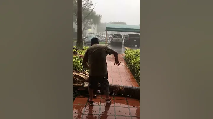 Cerrato vs. Irma