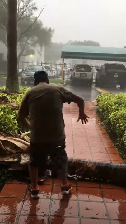 Cerrato vs. Irma