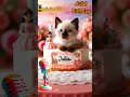 HAPPY BIRTHDAY TO YOU JULIET | HAPPY BIRTHDAY SONG WITH NAMES | Adorable Cute Cat 😺 #cats