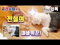 도박 신고는 1336 - YouTube