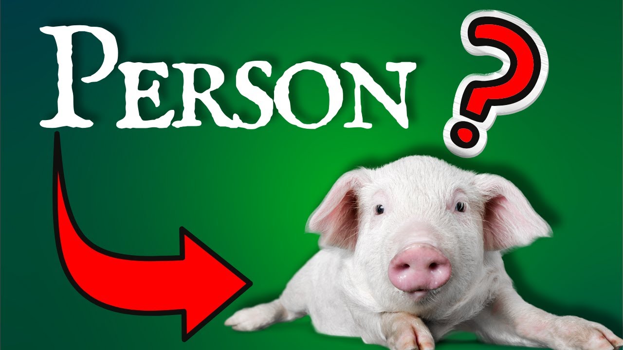 Personhood: The MOST important question of Morality?