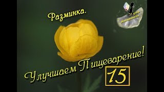 Урок 15! 3 Чакра. (33 Урока Женственности). Разминка для пищеварения. Урок 15! 3 Чакра. (33 Урока Женственности). Разминка для пищеварения.