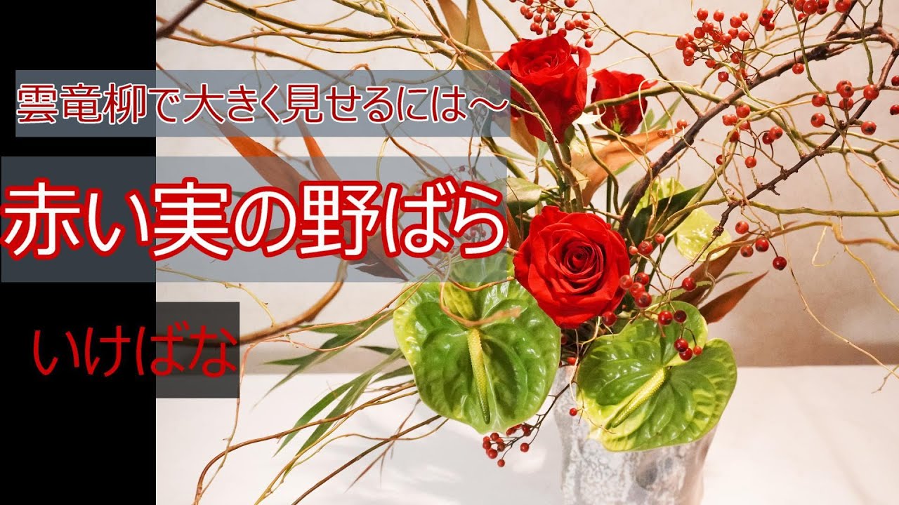 生け花 Sogetsu 雲竜柳の生け方で大きくなる 赤いバラと赤い実の野ばら Red Rose Flowerarragement 插花 Sogetsu Ikebana Youtube