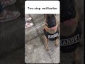 #police #dog #funny #meme #viralshorts #fyp #viralvideo #twostepverification