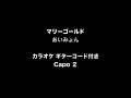 【カラオケ】マリーゴールド / あいみょん