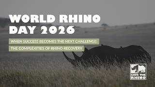 World Rhino Day 2026 - When success becomes the next challenge: The complexities of rhino recovery World Rhino Day 2026 - When success becomes the next challenge: The complexities of rhino recovery