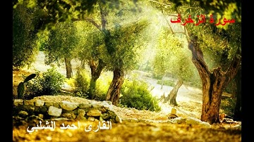 سورة الزخرف للقارئ احمد الشلبي