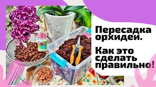 видео: Пересадить орхидею легко!! Пересадка орхидеи.Подбор субстрата для орхидеи.Как это сделать правильно! картинка: Пересадить орхидею легко!! Пересадка орхидеи.Подбор субстрата для орхидеи.Как это сделать правильно!
