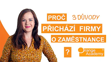 Co jsou výhody zaměstnání?