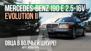Mercedes-Benz 190 E 2.5-16v Evolution II ОВЦА В ВОЛЧЬЕЙ ШКУРЕ! Тест-драйвы Давида Чирони