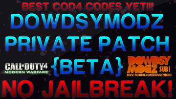 DowdsyModz Private Patch [Beta] - CoD4