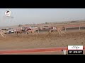 الشوط 15 الشاهينية لـ دغاش مبارك بن دغاش 2 19 شارة صندوق الحلفه 2021 7 10 الجبيب فطامين 