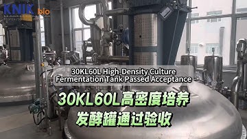 30KL60L High-Density Culture Fermentation Tank Passed Acceptance #fermenter #manufacturer