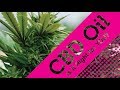 CBD Oil ➜ The Positives + Negatives of Using It! CBD Oil ➜ The Positives + Negatives of Using It!