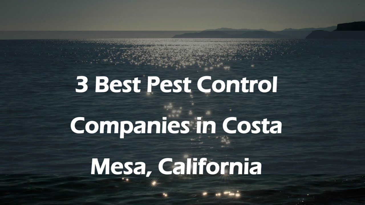 3 Best Pest Control Companies in Costa Mesa, California | Pest Extermination
