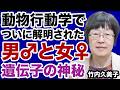 【竹内久美子】動物行動学で解明！男と女「遺伝子」の神秘【デイリーWiLL】