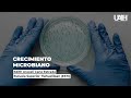 Crecimiento Microbiano