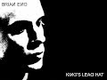 Brian Eno - King's Lead Hat (lyrics)