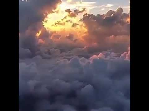 ومالو لو ليلة تهنا بعيد أجمل حالات واتس عمرو دياب