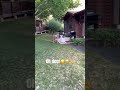 MY DEER#viral #populer