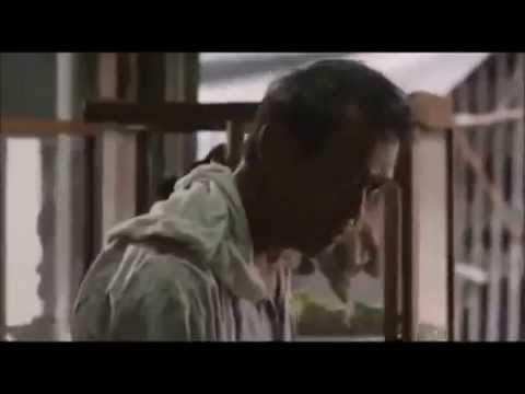 はち倉庫感動！大作CM
