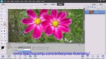 Adobe Photoshop Elements 12 Tutorial Manipulating Images Employee Group Training 13.8