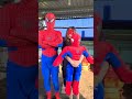papa mama i am here - Spiderman Family #Shorts #trending #spiderman #tiktok