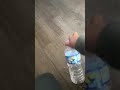 Water bottle flip
