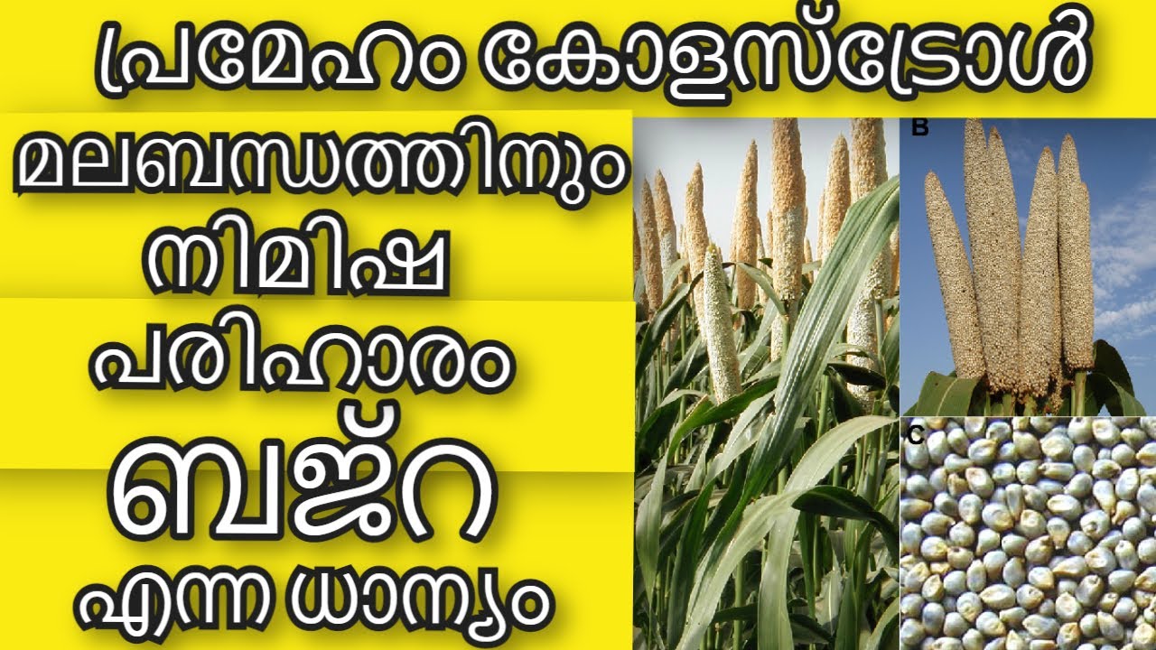 മികച്ച ദഹനത്തിനും മലബന്ധത്തിനും ബജ്റ നിമിഷ പരിഹാരം | Health Benefit of Bajra | Health Tips Malayalam