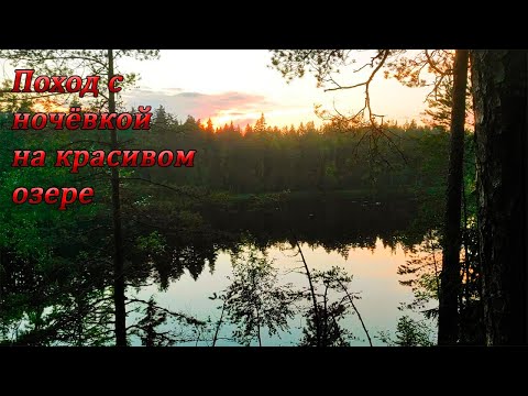 Поход в лес