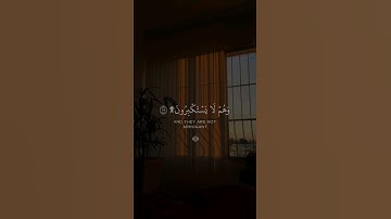 سورة السجدة 🍁 القارئ شريف مصطفى