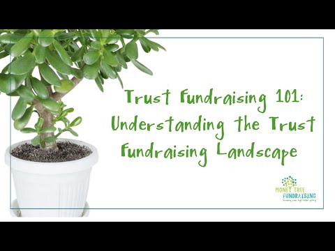 Trust Fundraising 101 | Understanding the Trust Fundraising Landscape