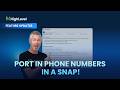 Port in Phone Numbers In a Snap!