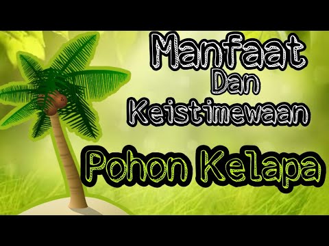 Video: Pohon Kelapa Serbaguna