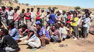 Tigray conflict. Unilateral ceasefire declared. state TV