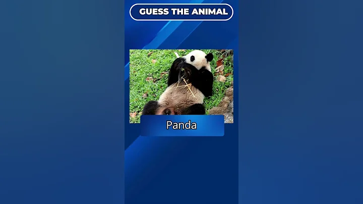 Guess The Animal Quiz Part 32 🦁 | The Daily Challenge! #shorts