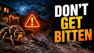 Most Dangerous Insects You Never Want to Encounter