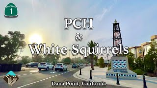 The Pacific Coast Highway Monument and Searching for White Squirrels in Dana Point